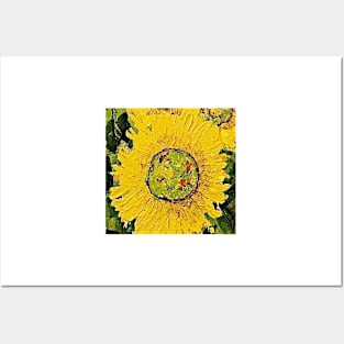 Sunflowers 5 Posters and Art